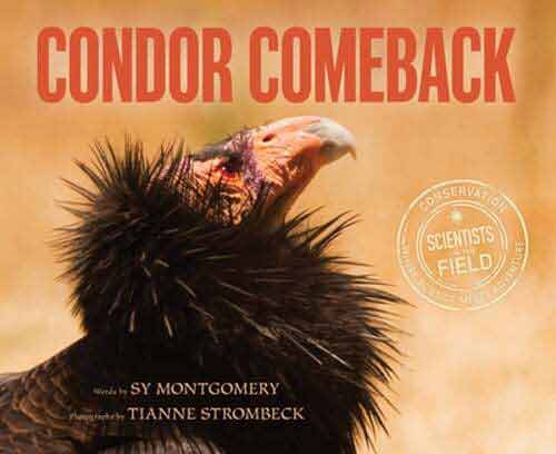 Cover of Condor Comeback book with a photo of a juvenile condor