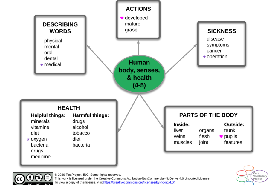 Human-body-senses-and-health-CVP-GR4-5-Semantic-map