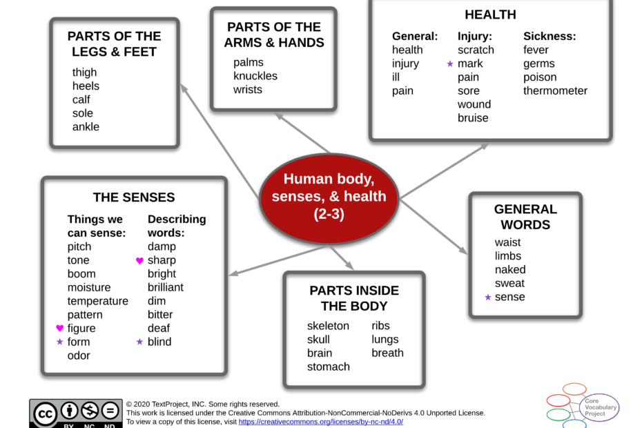 Human-body-senses-and-health-CVP-Gr2-3-Semantic-map