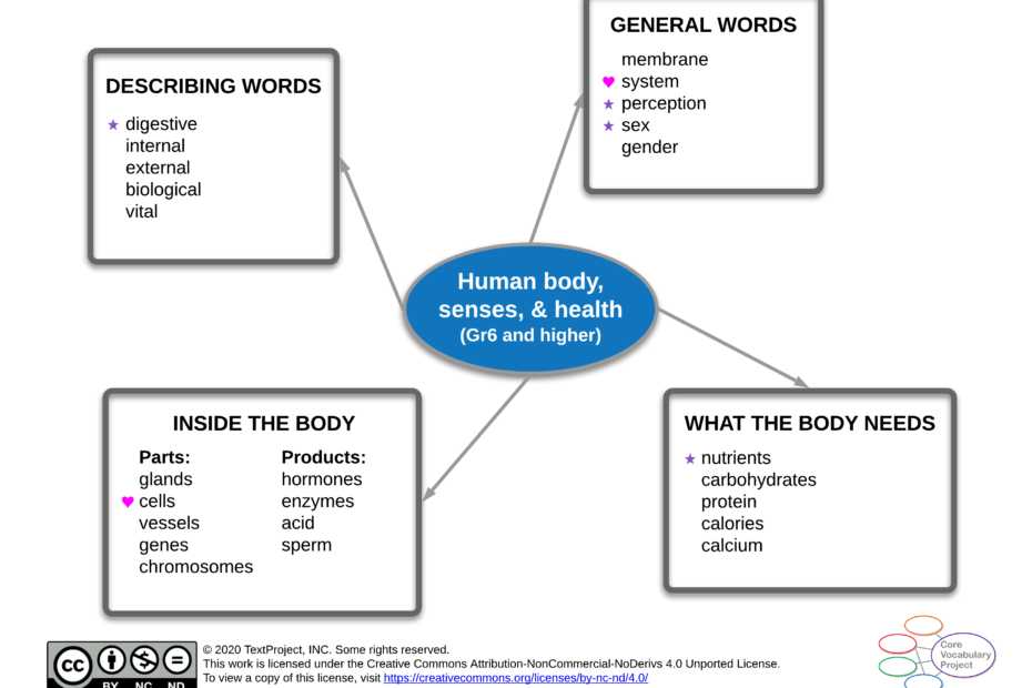 Human-body-senses-and-health-CVP-Gr6-higher-Semantic-map