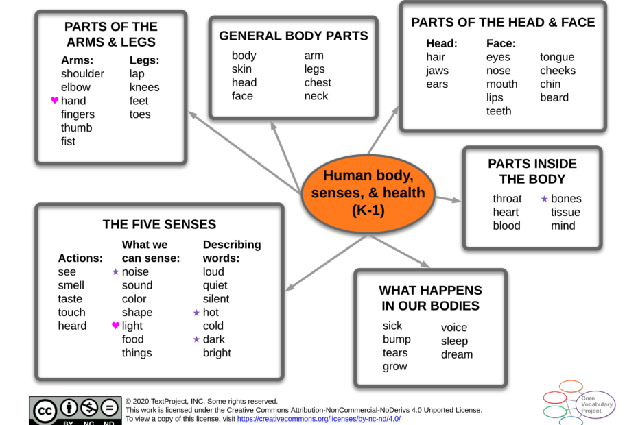 Human-body-senses-and-health-CVP-K-1-Semantic-Map