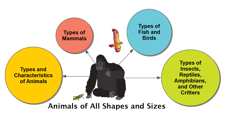 ANIMALS-Overview.png