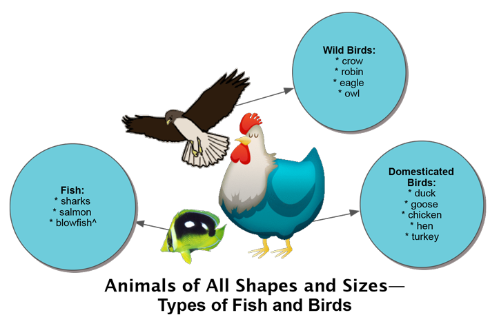 ANIMALS Types of Fish and Birds