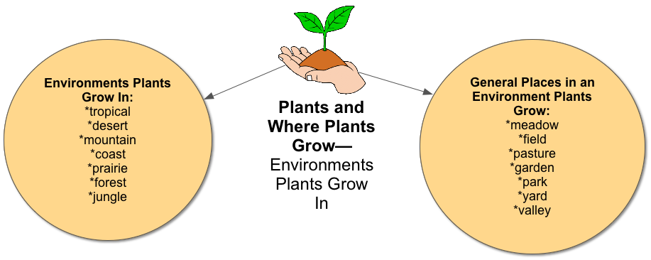 PLANTS-Environments-Plants-Grow-In.png
