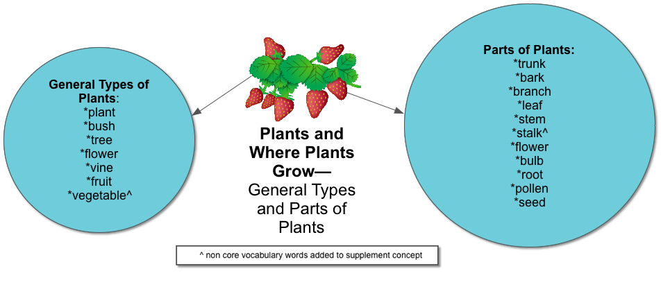 PLANTS-General-Type-and-Part-of-Plants.png