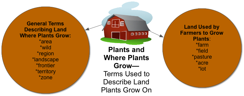 PLANTS-Terms-Used-to-Describe-Land.png