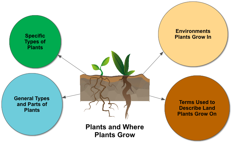PLANTS-overview.png