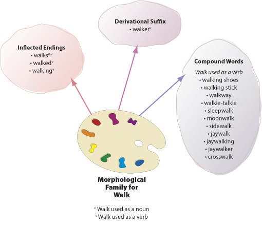 E4 Walk Morphology Web