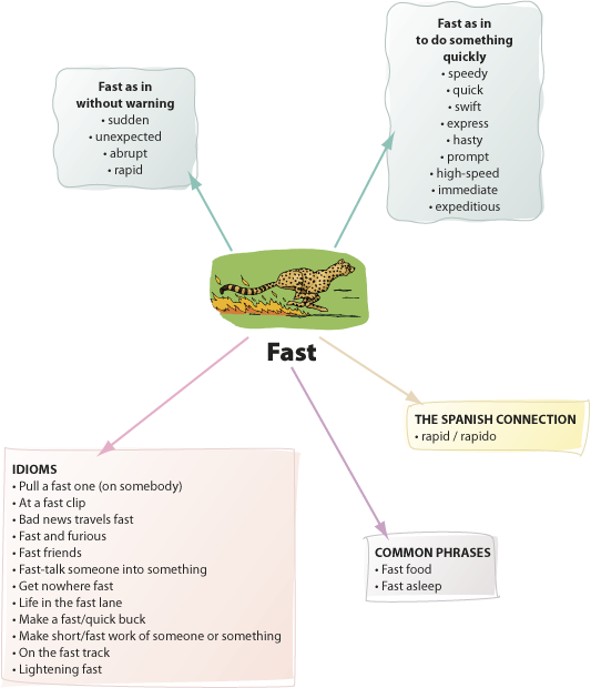  Swift, swiftly, and their synonyms: a contribution to